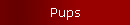Pups
